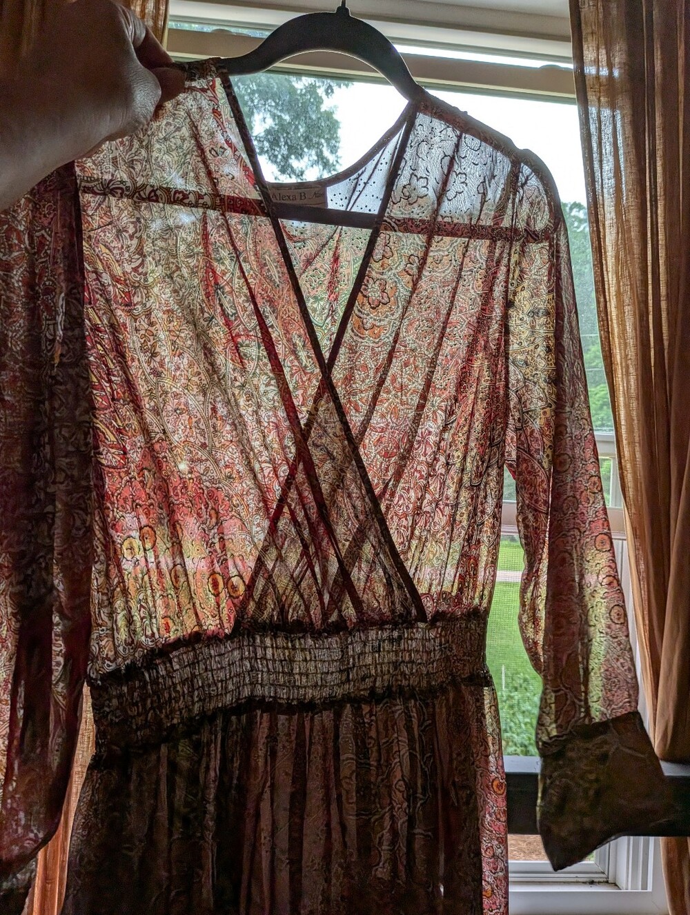 Alexa B Gorgeous Chiffon Paisley 1970s Style Maxi Dress Long Sleeve Fall Winter